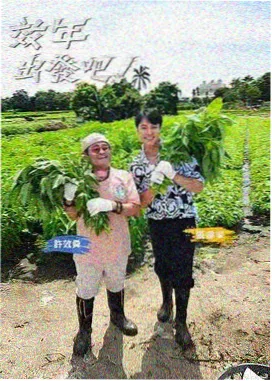 一个人的厨房 独居生活综艺